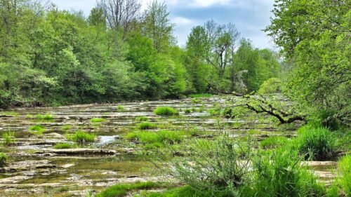 domki wczasowe jablonki maj 2026 img (16)